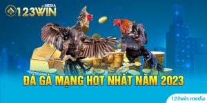 Đá gà mạng hot nhất năm 2023